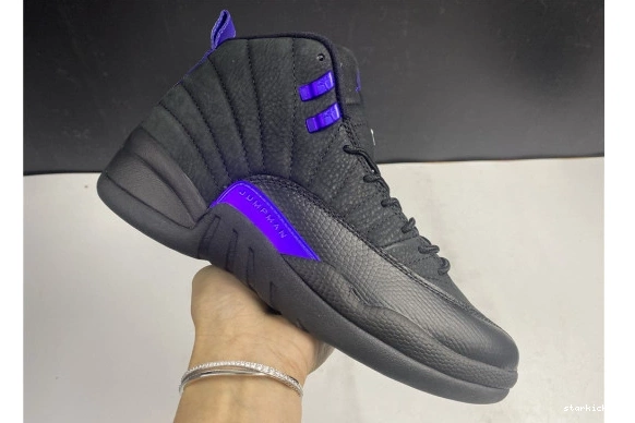 CT8013-005 12 Dark CT8013-005 Concord Air Black Jordan Retro 1031